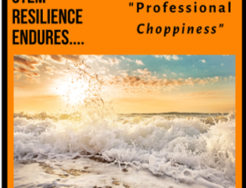 STEM RESILIENCE Endures “Professional Choppiness”